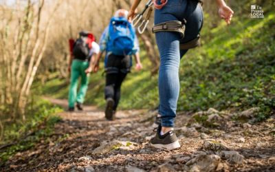 2025_1224_caminata-bosque-hike